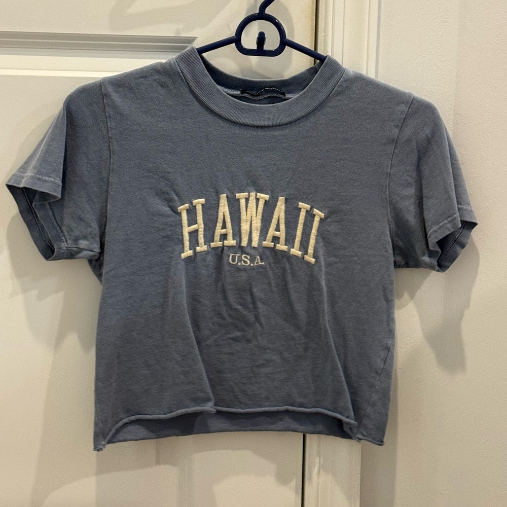 Brandy Melville HAWAII U.S.A. blue crop top